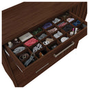 Cômoda Sapateira 1 Porta 4 Gavetas Marrom Palacius Caemmun