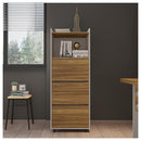 Gaveteiro Escritório Armário Studio Multifuncional Caemmun